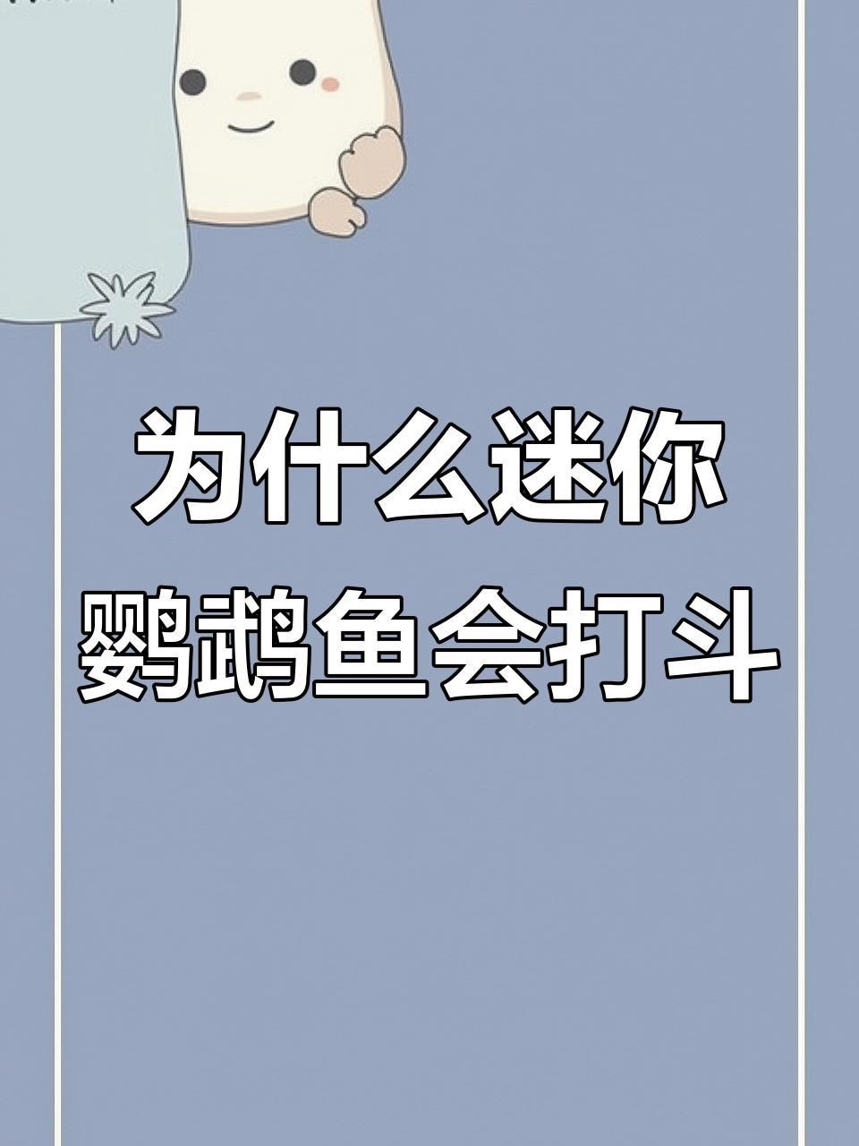 迷你鸚鵡魚一只總追另一只|迷你鸚鵡魚出現追逐行為怎么辦 迷你鸚鵡魚一只總追另一只|迷你鸚鵡魚出現追逐行為怎么辦 龍魚百科 第7張