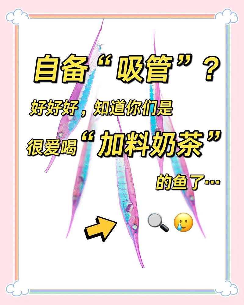 刀片魚介紹|傳說中的倒立姿態——刀片魚 刀片魚介紹|傳說中的倒立姿態——刀片魚 龍魚論壇 第6張