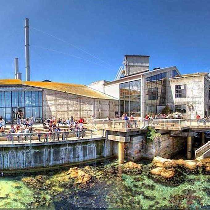蒙自水族店|蒙自市文竹街聚集了多家水族店
