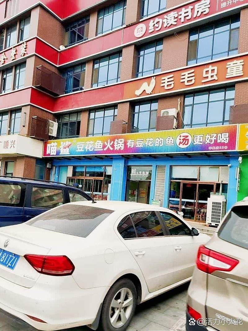 辛集龍魚店|辛集市有哪些龍魚店喵鯊豆花魚火鍋的詳細(xì)地址 辛集龍魚店|辛集市有哪些龍魚店喵鯊豆花魚火鍋的詳細(xì)地址 全國(guó)水族館企業(yè)名錄 第1張