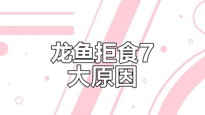 龍魚不吃食,但是狀態挺好,用下藥嗎|智貝研習社龍魚拒食的7個常見原因及解決方法