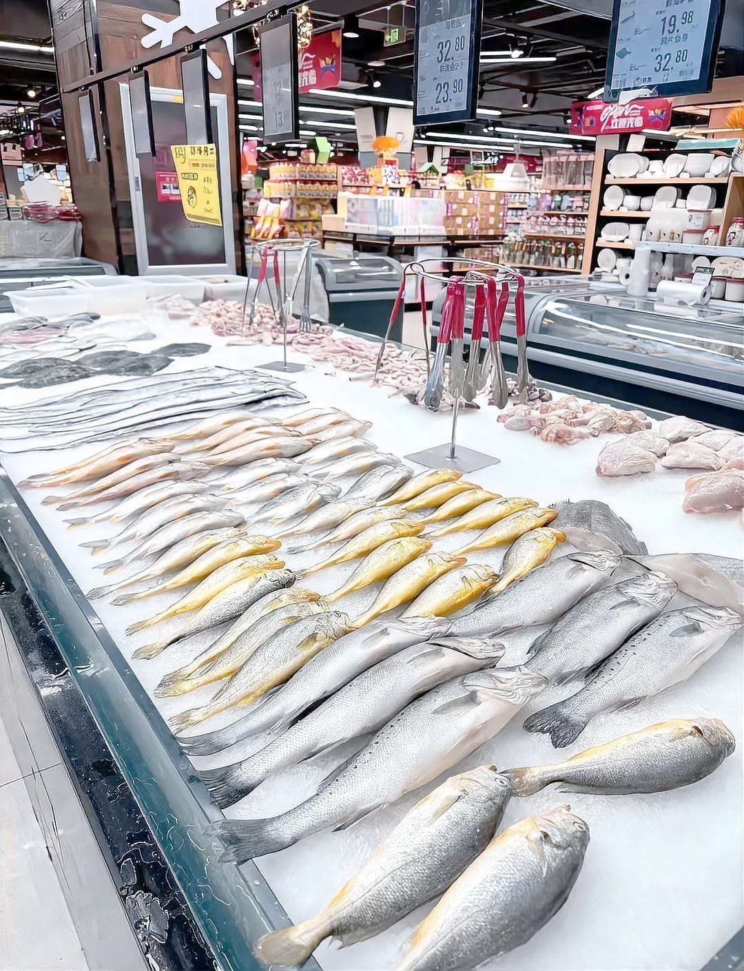 龍頭魚禁售對市場有何影響？|五一起東海全面禁漁8種海鮮禁售|市面上鮮味替代品貨源充足