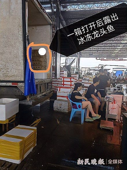 龍頭魚禁售對市場有何影響？|五一起東海全面禁漁8種海鮮禁售|市面上鮮味替代品貨源充足