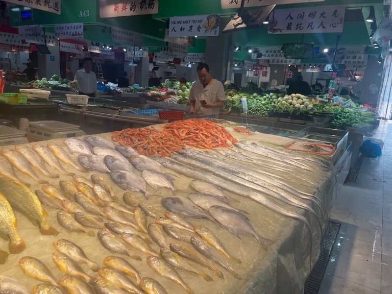龍頭魚禁售對市場有何影響？|五一起東海全面禁漁8種海鮮禁售|市面上鮮味替代品貨源充足