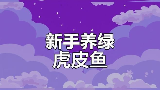 綠虎皮魚好養嗎