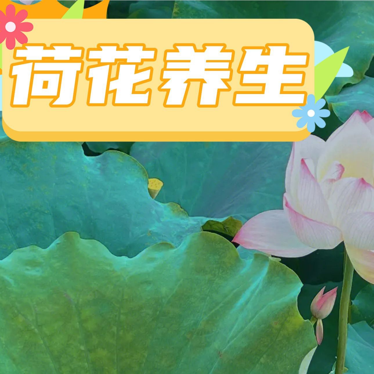 虎魚燉湯做法|虎魚燉湯的養生之道與烹飪藝術