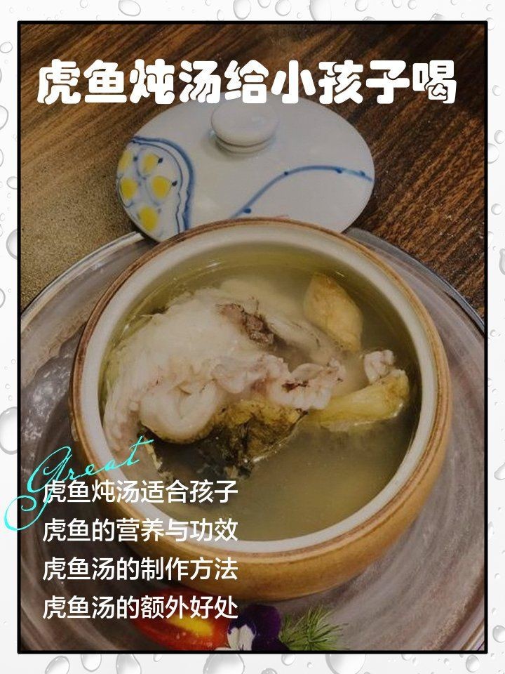 虎魚燉湯做法|虎魚燉湯的養生之道與烹飪藝術
