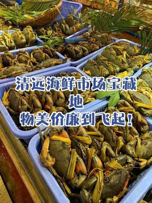 清遠(yuǎn)水族批發(fā)市場(chǎng)|旅行盒子里的筆記本筆記本，清遠(yuǎn)本地水族市場(chǎng)可獲取