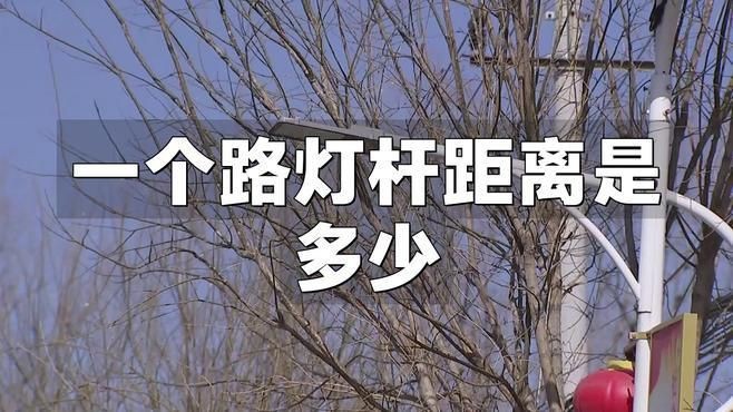 路燈桿一般多少米一個|路燈桿一般多少米 路燈桿一般多少米一個|路燈桿一般多少米 龍魚百科 第4張