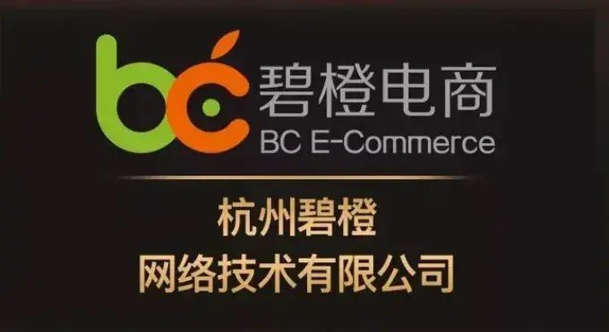 十大電商公司排名最新|2025年電商代運(yùn)營行業(yè)發(fā)展趨勢(shì)分析 十大電商公司排名最新|2025年電商代運(yùn)營行業(yè)發(fā)展趨勢(shì)分析 龍魚論壇 第4張