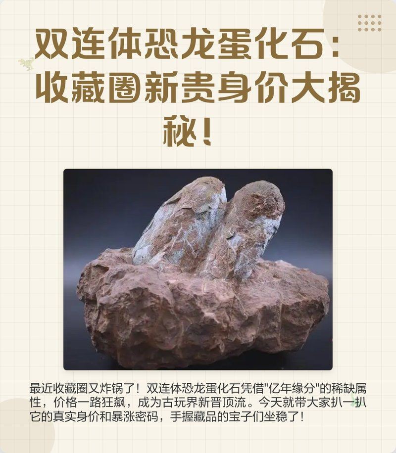 十大不值錢的恐龍蛋|恐龍蛋化石:收藏圈新貴身價大揭秘