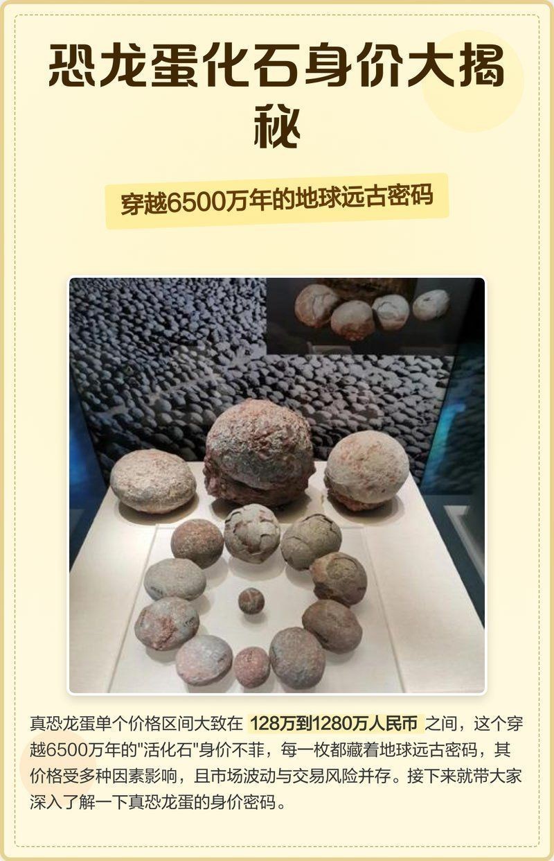 十大不值錢的恐龍蛋|恐龍蛋化石:收藏圈新貴身價大揭秘