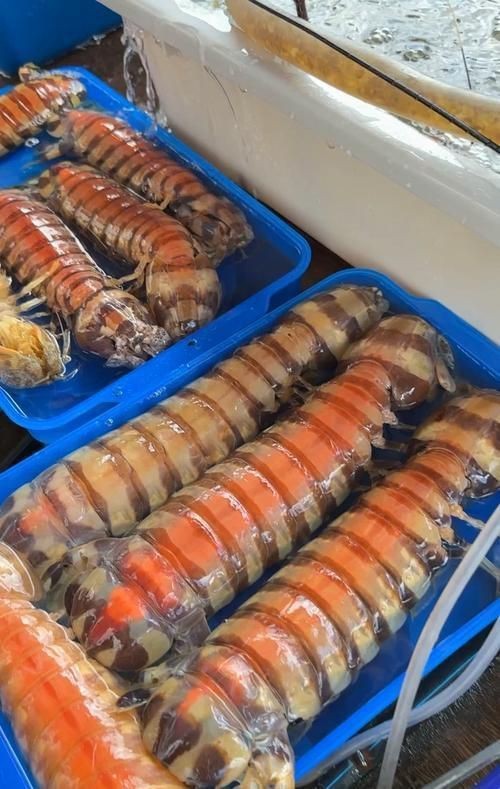 龍海哪里買海鮮便宜|安安willgo小日常島美漁港海鮮批發(fā)百度地圖 龍海哪里買海鮮便宜|安安willgo小日常島美漁港海鮮批發(fā)百度地圖 龍魚百科 第4張