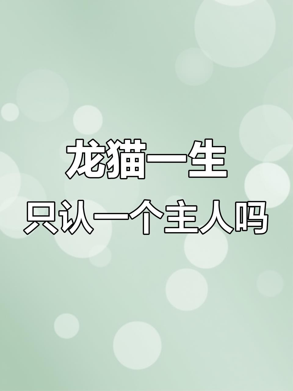 龍貓一生認幾個主人|關于龍貓對主人的認主行為