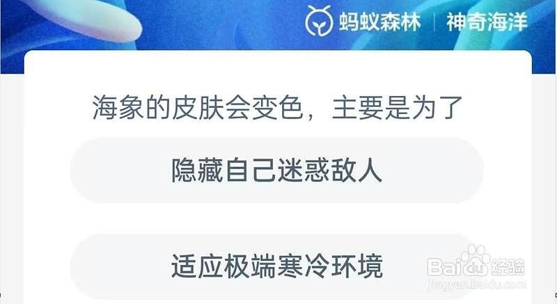 海象魚吃什么才發紅|關于海象魚體色發紅的問題