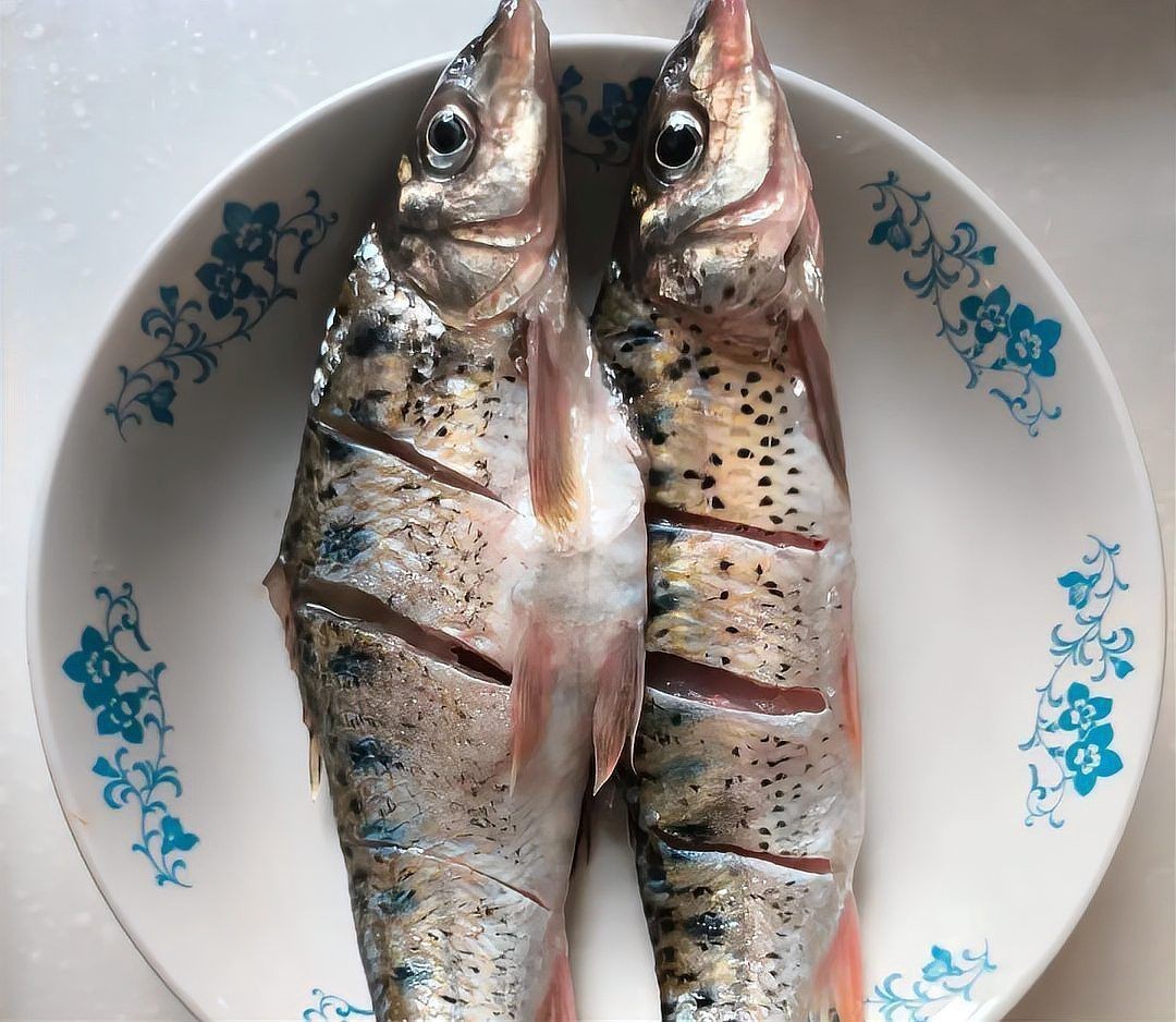 花鯽魚學(xué)名叫什么|關(guān)于“花鯽魚”的學(xué)名及相關(guān)信息 花鯽魚學(xué)名叫什么|關(guān)于“花鯽魚”的學(xué)名及相關(guān)信息 龍魚論壇 第9張