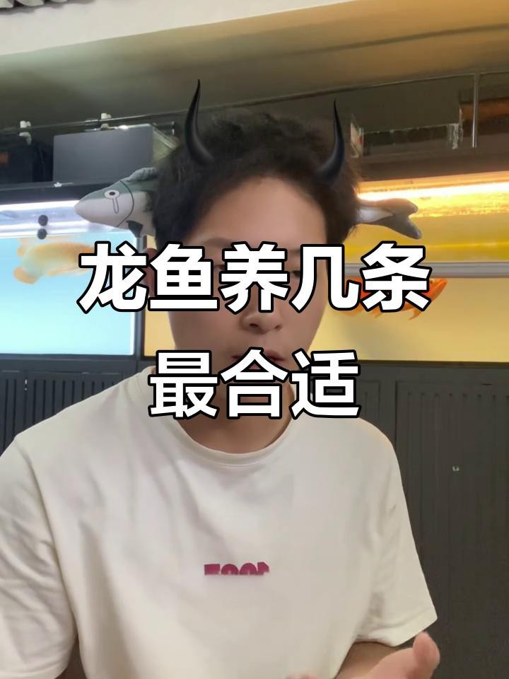 龍魚的數量對風水有影響嗎？|養龍魚數量有講究，選對數字財運更旺
