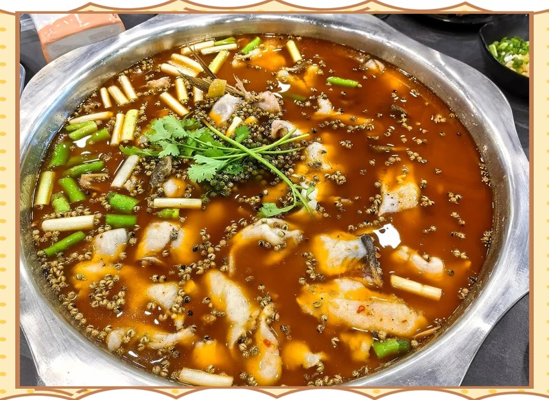 貢井水族店|四川貢井區(qū)魚(yú)歡水族店12月25日開(kāi)業(yè)觀賞魚(yú)水族實(shí)體店