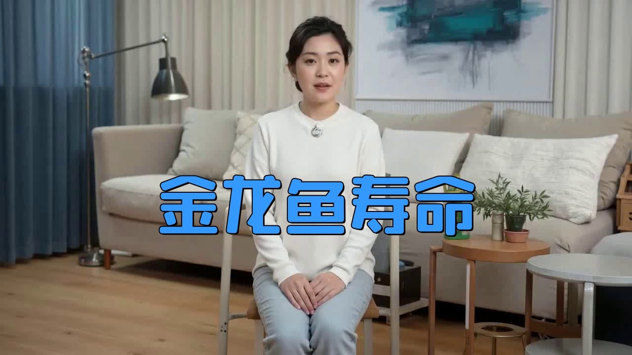 金龍魚和銀龍魚的壽命分別有多長(zhǎng)？|金龍魚和銀龍魚的壽命一般是多少年繪繪樂悠然金龍魚能活多久