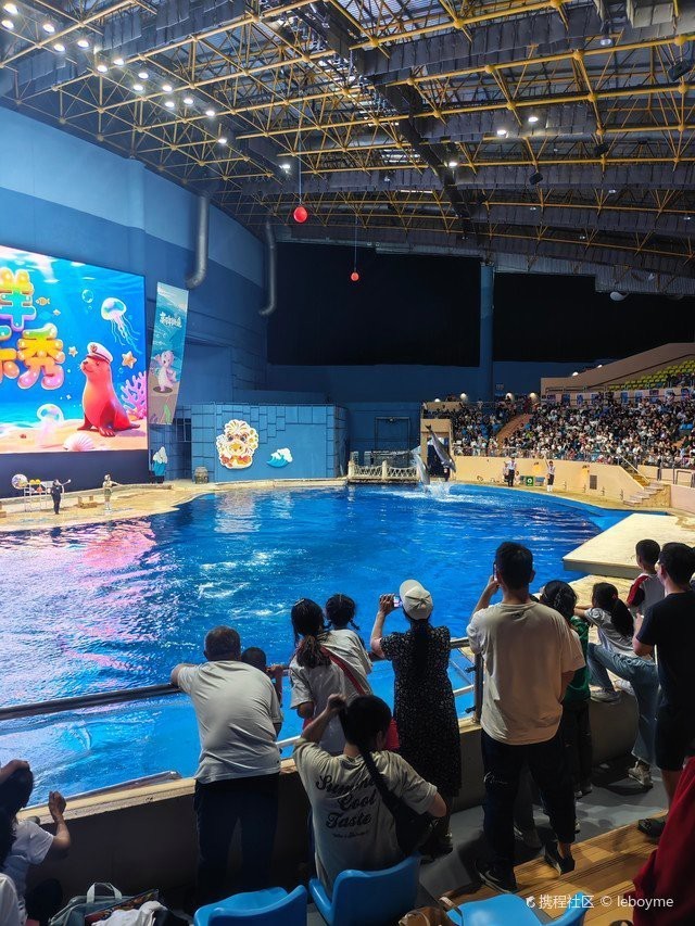 <strong><mark>疏勒</mark></strong>水族店|探秘<strong><mark>疏勒</mark></strong>水族館：藍色世界的奇妙邂逅