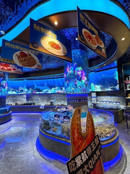 疏勒水族店|探秘疏勒水族館：藍色世界的奇妙邂逅