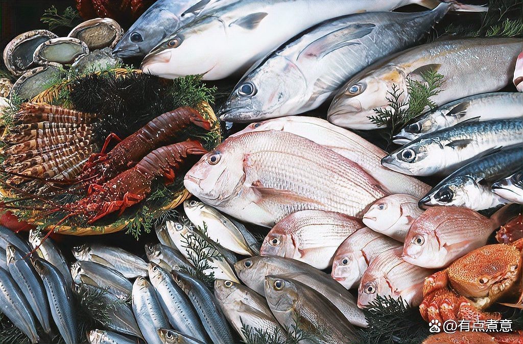 泥猛魚在廣東一斤多少錢|泥猛魚在廣東各地的價(jià)格差異