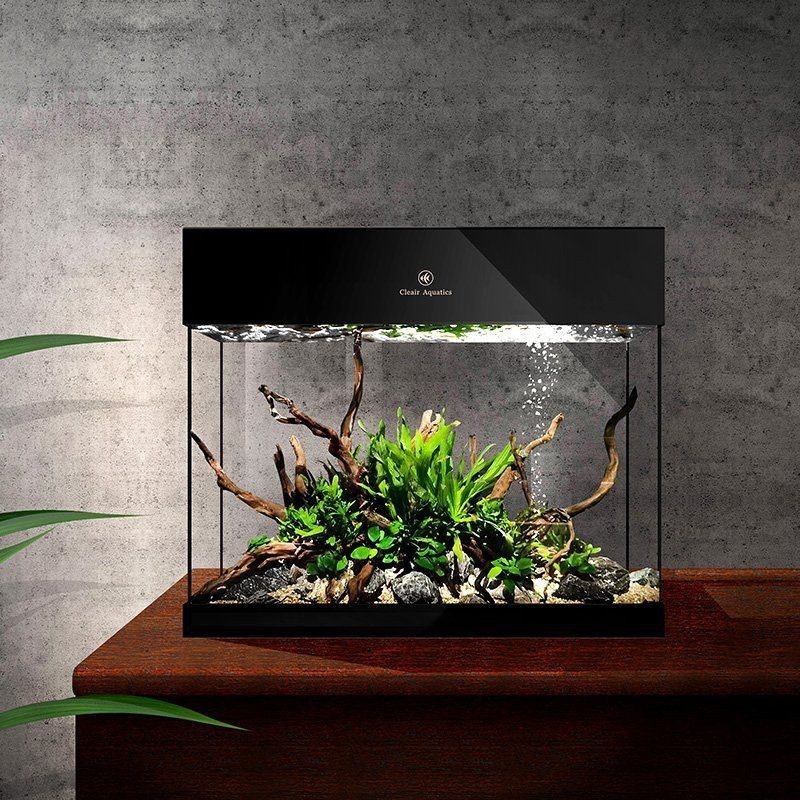 可麗愛魚缸價格一覽表|可麗愛魚缸不同型號價格一覽表