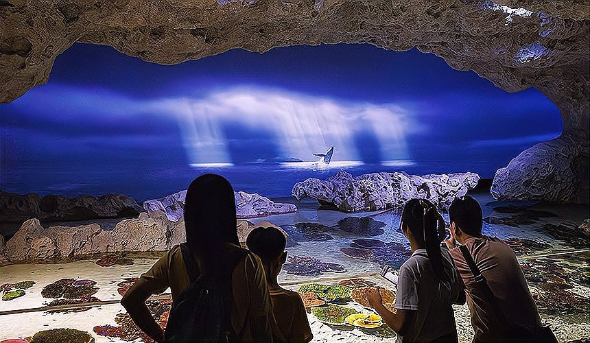 釣魚島水族店|沖繩dmm水族館 釣魚島水族店|沖繩dmm水族館 全國水族館企業(yè)名錄 第1張