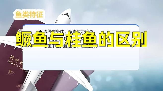 鱖魚和桂魚的區(qū)別|鱖魚與桂魚的區(qū)別