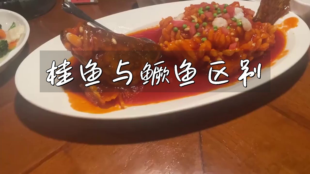 鱖魚和桂魚的區別|鱖魚與桂魚的區別