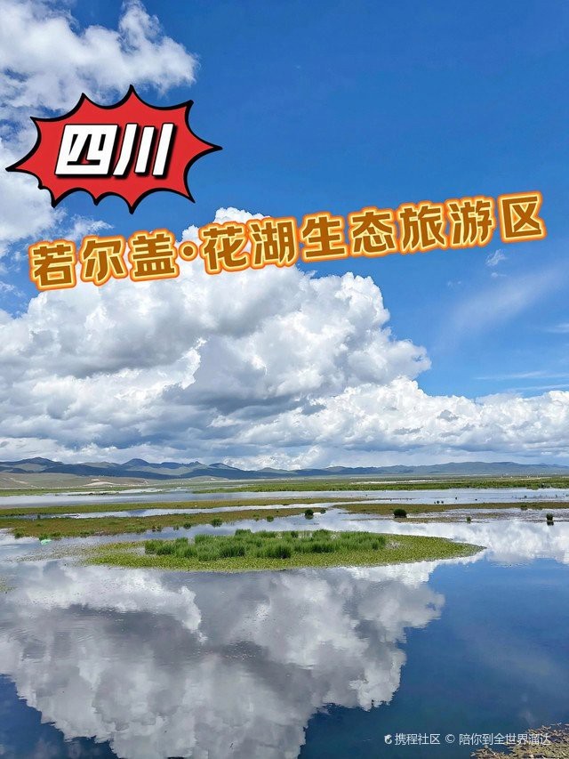若爾蓋水族店