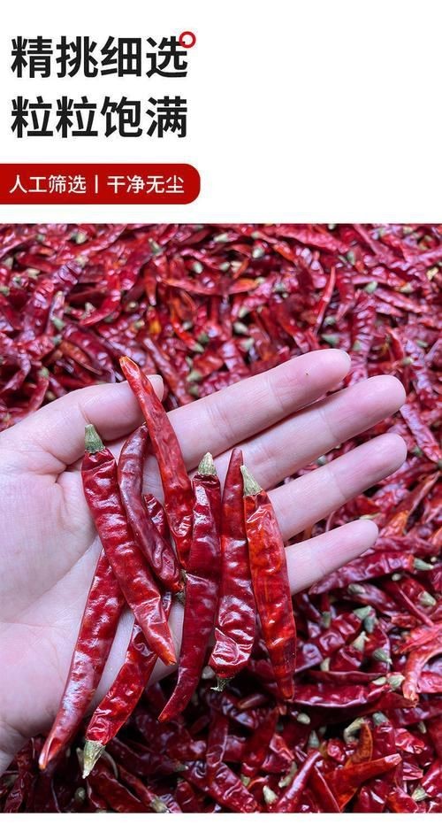 辣椒超血圖片|“湖南辣椒第一鮮”是怎么煉成的卡羅來(lái)納死神辣椒的