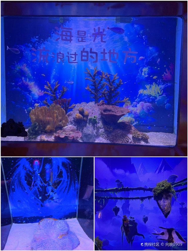 昆山水族店|昆山周市水族店怎么樣