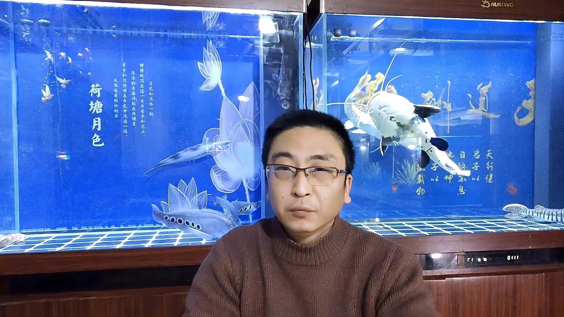 雷龍魚跳缸多久會死|雷龍魚會跳缸嗎