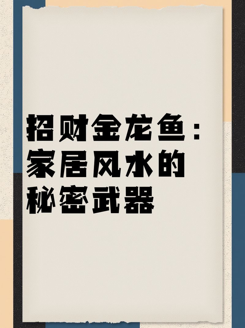 淡水魚白子招財龍|白子招財龍是什么