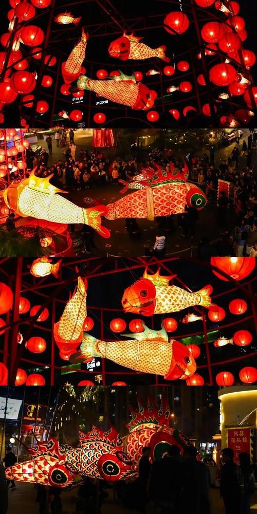 能提供幾張龍魚燈擺放的圖片嗎？|——龍魚燈光的使用方法