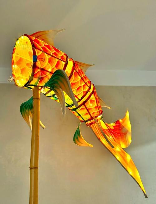 能提供幾張龍魚燈擺放的圖片嗎？|——龍魚燈光的使用方法