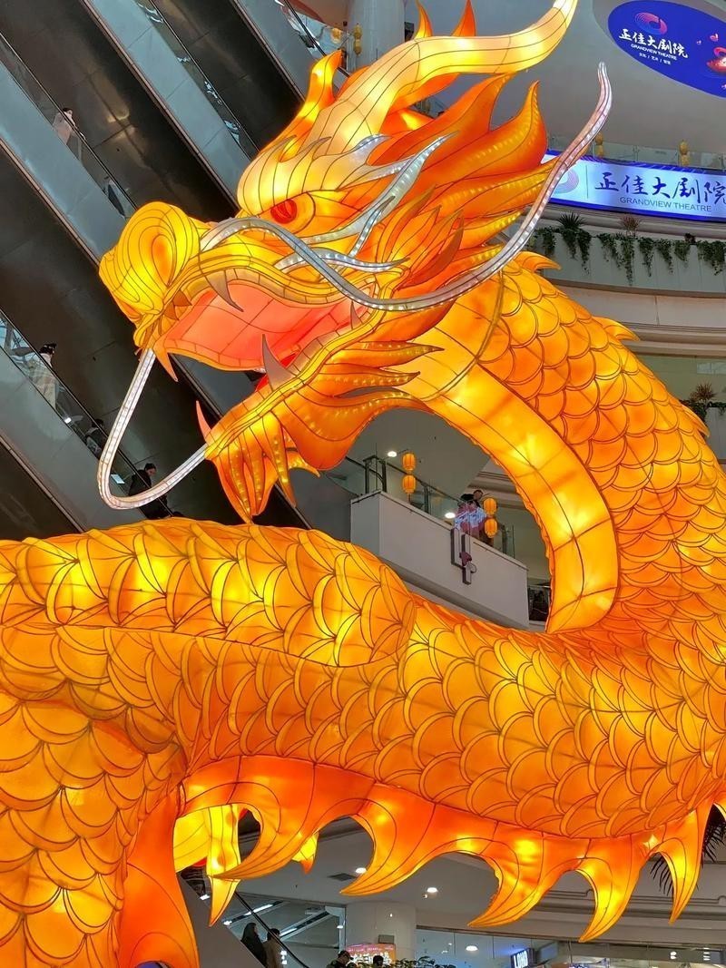 能提供幾張龍魚燈擺放的圖片嗎？|——龍魚燈光的使用方法