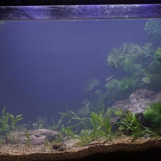 森森魚缸是雜牌子還是名牌|森森魚缸品牌價值深入探討森森魚缸品牌\