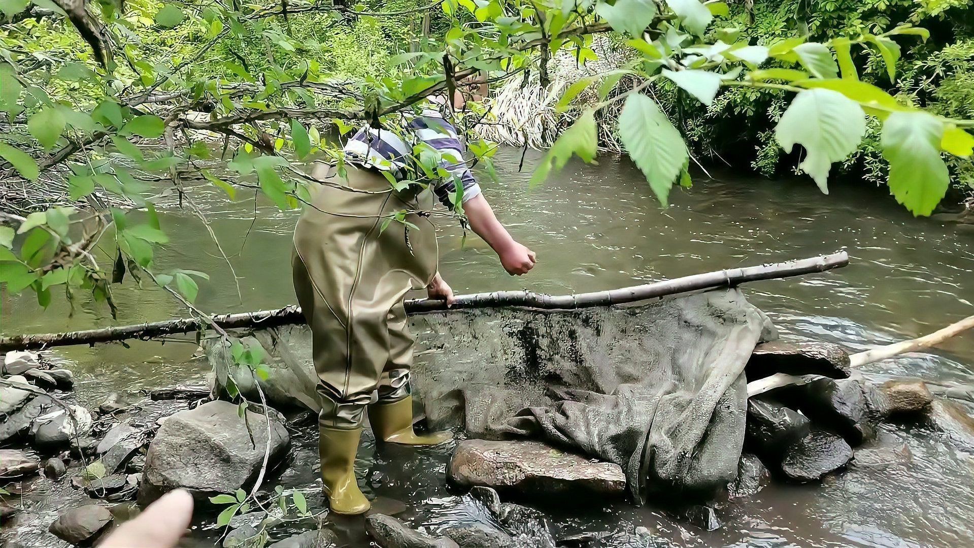 如何判斷水質是否適合冷水魚？|冷水魚怎么選,新手必看的避坑指南