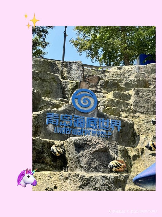 青島水族店|探秘中國首座水族館的奇妙世界 青島水族店|探秘中國首座水族館的奇妙世界 全國水族館企業名錄 第7張