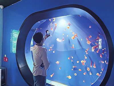 青島水族店|探秘中國首座水族館的奇妙世界 青島水族店|探秘中國首座水族館的奇妙世界 全國水族館企業名錄 第2張