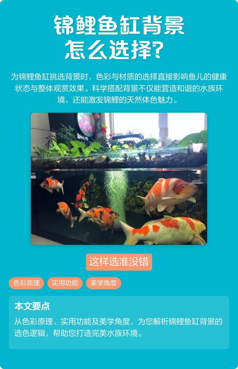 魚缸背景紙最忌三種顏色|魚缸最忌諱的三個顏色——紅色、黑色與色彩奧秘 魚缸背景紙最忌三種顏色|魚缸最忌諱的三個顏色——紅色、黑色與色彩奧秘 龍魚論壇 第5張