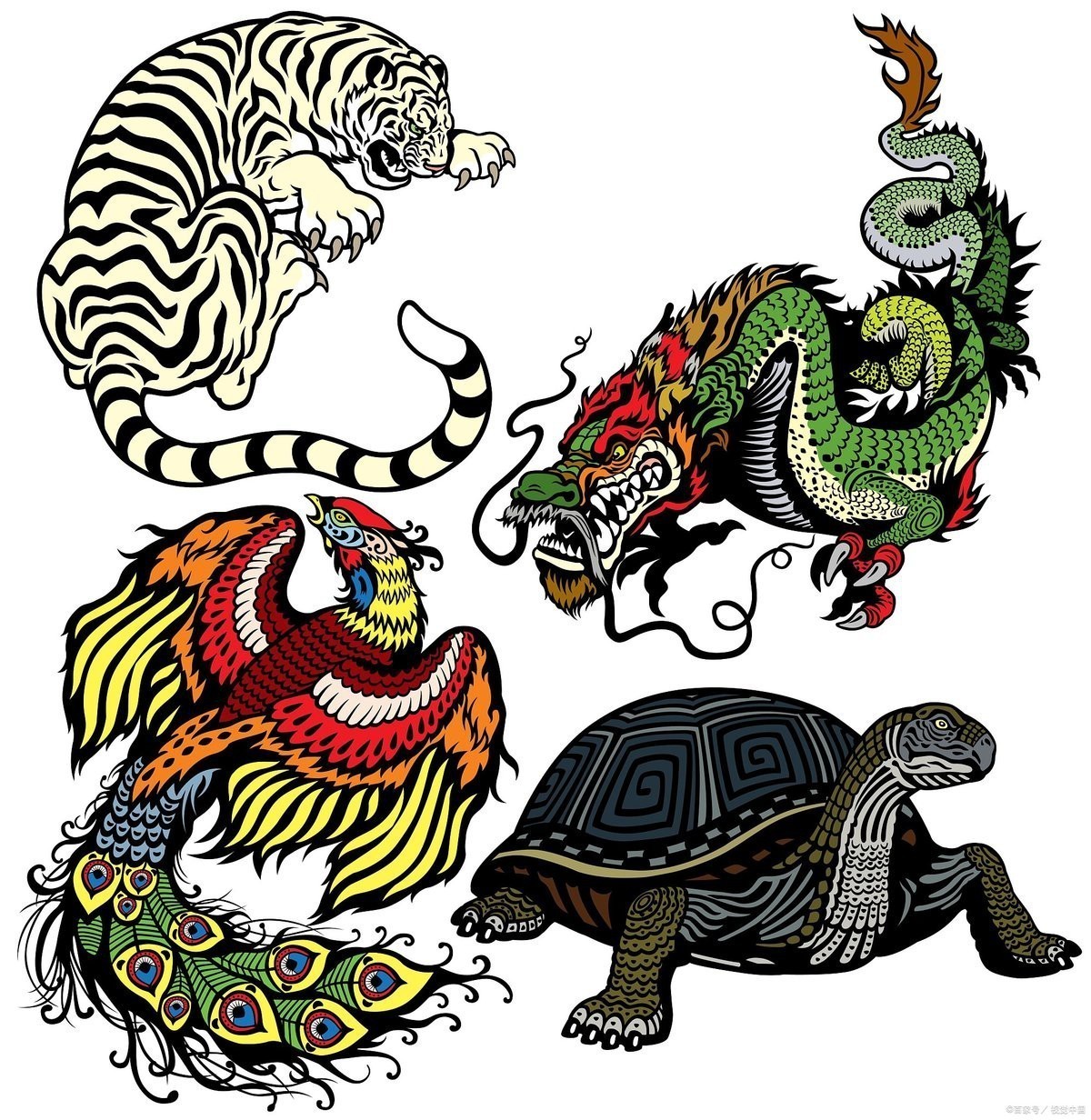 左青龍是指進門還是出門|“左青龍”方位的判定標準及其在進門與出門場景中的應用 左青龍是指進門還是出門|“左青龍”方位的判定標準及其在進門與出門場景中的應用 龍魚論壇 第2張