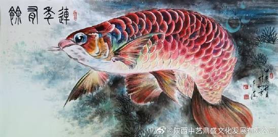 金龍魚最經(jīng)典三句話|##問題分析,創(chuàng)作要點(diǎn)：三重奏鳴：解碼金龍魚經(jīng)典slogan
