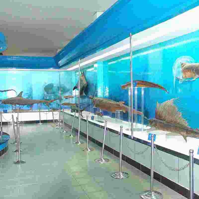 豐縣水族店|豐縣有哪些水族店