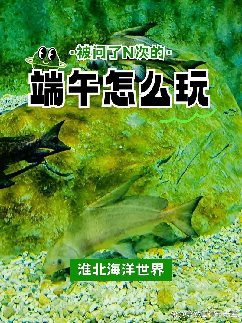 相山水族店|淮北市相山區主要水族館