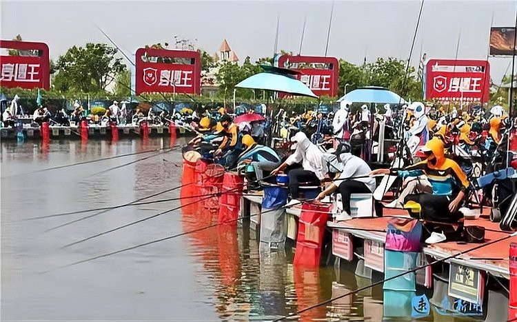 宿城龍魚店|宿城區旅游攻略