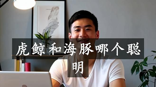 虎鯨的智商相當于人幾歲|虎鯨的智力水平一直是科學界和公眾關注的熱點話題