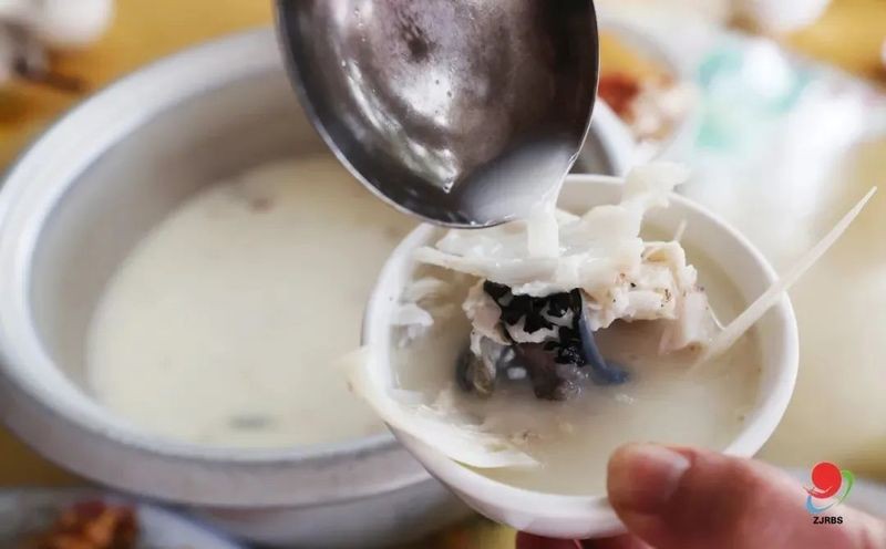 湛河龍魚店|湛河龍魚店怎么樣